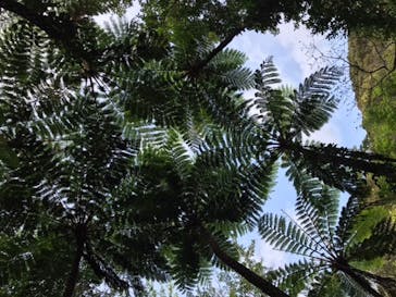 奄美海族塾に投稿された画像（2020/3/1）