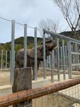 しろとり動物園に投稿された画像（2020/3/1）