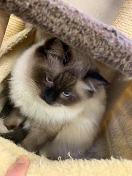 しろとり動物園に投稿された画像（2020/3/1）