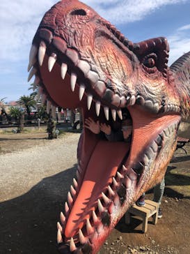 伊豆ぐらんぱる公園に投稿された画像（2020/3/1）