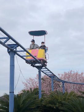 伊豆ぐらんぱる公園に投稿された画像（2020/3/1）