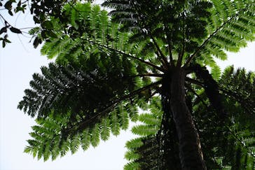 アイランドサービスに投稿された画像（2020/3/1）