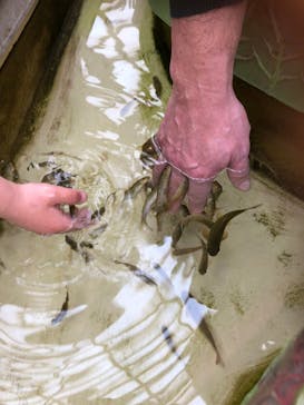 鳥羽水族館に投稿された画像（2020/3/1）