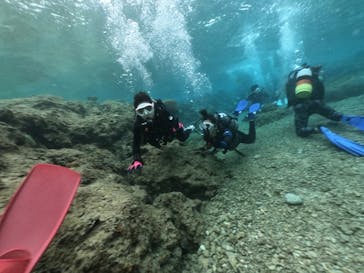 DIVING-SHOP SUNSに投稿された画像（2020/3/2）