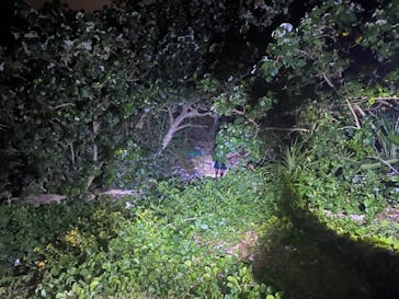 石垣島 ADVENTURE PiPi（イシガキジマアドベンチャーピピ）に投稿された画像（2020/3/3）