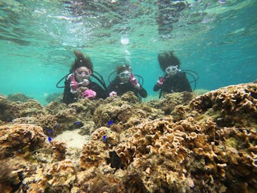 武藤潜水に投稿された画像（2020/3/4）