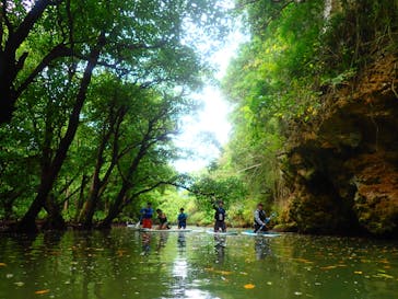 石垣島 ADVENTURE PiPi（イシガキジマアドベンチャーピピ）に投稿された画像（2020/3/4）