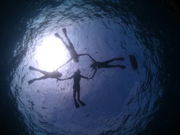 ドロップイン 沖縄に投稿された画像（2020/3/4）