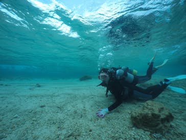 武藤潜水に投稿された画像（2020/3/5）
