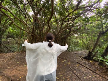 アスムイハイクスに投稿された画像（2020/3/5）