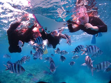 ドロップイン 沖縄に投稿された画像（2020/3/5）