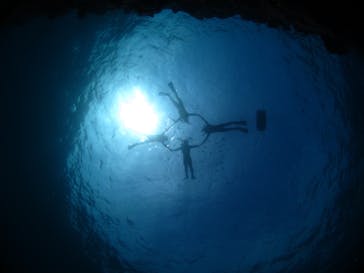 ドロップイン 沖縄に投稿された画像（2020/3/5）