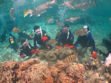 沖縄ダイビングショップシーモールに投稿された画像（2020/3/6）