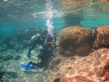 沖縄ダイビングショップシーモールに投稿された画像（2020/3/6）