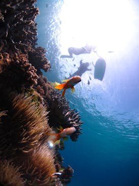 ドロップイン 沖縄に投稿された画像（2020/3/7）