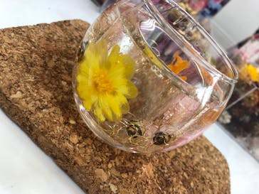 ずこうしつ〜sugamo〜に投稿された画像（2020/3/7）