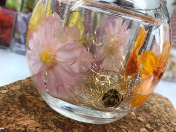 ずこうしつ〜sugamo〜に投稿された画像（2020/3/7）