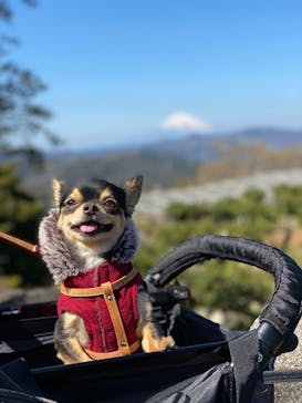 伊豆シャボテン動物公園に投稿された画像（2020/3/7）