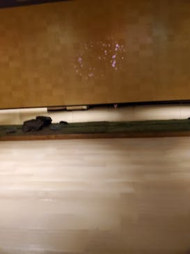 空庭温泉 OSAKA BAY TOWER（オオサカベイタワー）に投稿された画像（2020/3/7）