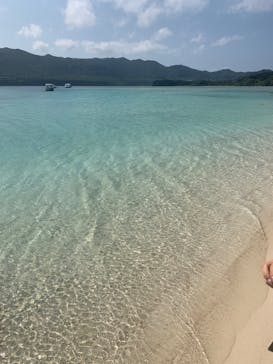 石垣島 ADVENTURE PiPi（イシガキジマアドベンチャーピピ）に投稿された画像（2020/3/7）