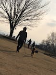 世界の名犬牧場に投稿された画像（2020/3/7）