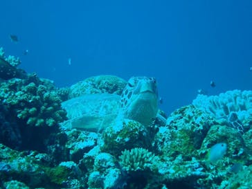 マリンショップtaitaiに投稿された画像（2020/3/8）