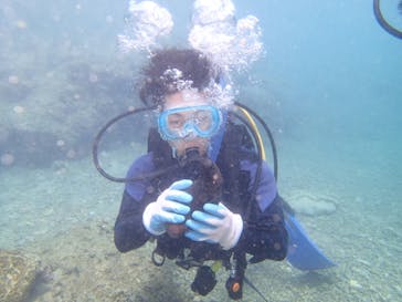 ダイビングショップ Sea Free（シーフリー）に投稿された画像（2020/3/8）