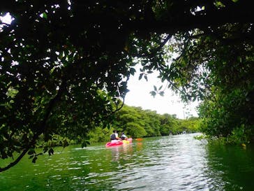 石垣島 ADVENTURE PiPi（イシガキジマアドベンチャーピピ）に投稿された画像（2020/3/8）