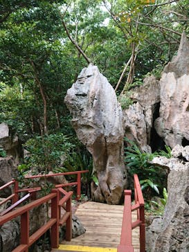 アスムイハイクスに投稿された画像（2020/3/8）