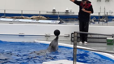 九十九島水族館海きららに投稿された画像（2020/3/7）