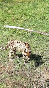九十九島動植物園森きららに投稿された画像（2020/3/8）