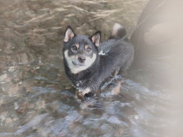 わんダフルネイチャーヴィレッジに投稿された画像（2020/3/9）