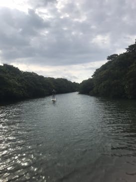 CHOROに投稿された画像（2020/3/9）