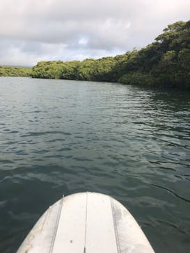 CHOROに投稿された画像（2020/3/9）