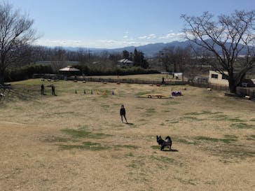 世界の名犬牧場に投稿された画像（2020/3/9）