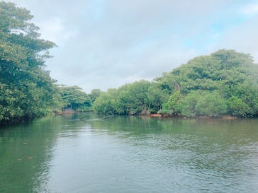 CHOROに投稿された画像（2020/3/9）