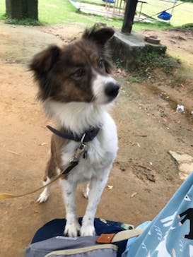 ネオパークオキナワに投稿された画像（2020/3/10）