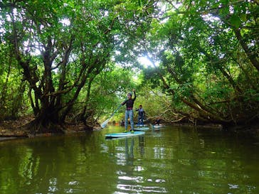 西表島 ADVENTURE PiPi（アドベンチャーピピ）に投稿された画像（2020/3/11）