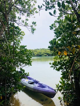 CHOROに投稿された画像（2020/3/11）