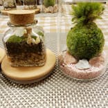 カルチャースクールいろはに投稿された画像（2020/3/11）