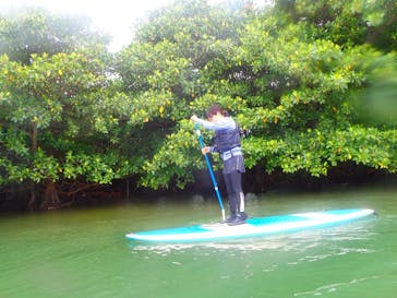 石垣島 ADVENTURE PiPi（イシガキジマアドベンチャーピピ）に投稿された画像（2020/3/11）