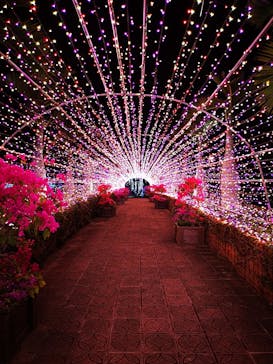 美らヤシパークオキナワ・東南植物楽園に投稿された画像（2020/3/12）