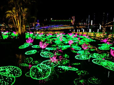 美らヤシパークオキナワ・東南植物楽園に投稿された画像（2020/3/12）