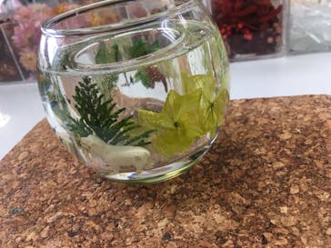 ずこうしつ〜sugamo〜に投稿された画像（2020/3/12）