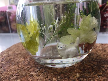 ずこうしつ〜sugamo〜に投稿された画像（2020/3/12）