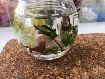 ずこうしつ〜sugamo〜に投稿された画像（2020/3/12）