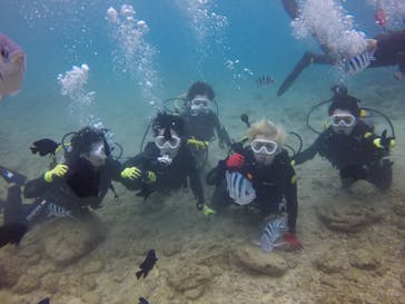 ダイブロックに投稿された画像（2020/3/12）