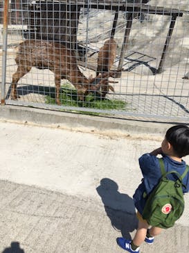 しろとり動物園に投稿された画像（2020/3/12）