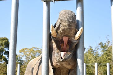 しろとり動物園に投稿された画像（2020/3/12）