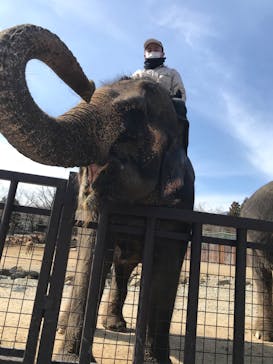 那須サファリパークに投稿された画像（2020/3/13）